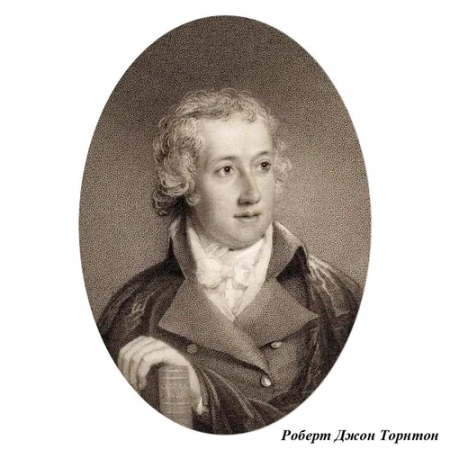 Стул «Храм флоры», версия 2