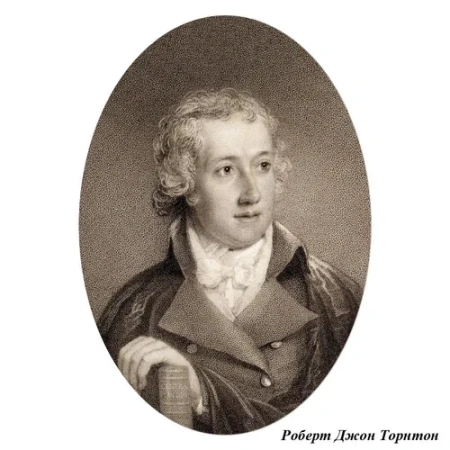 Стул «Храм флоры», версия 3